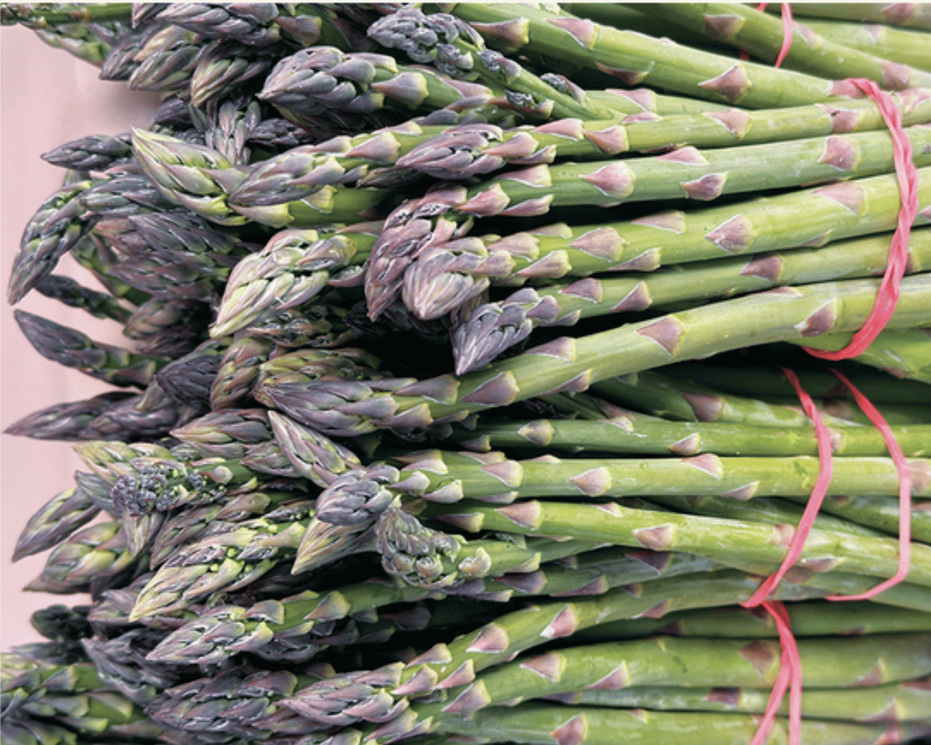 Asparagus (1)