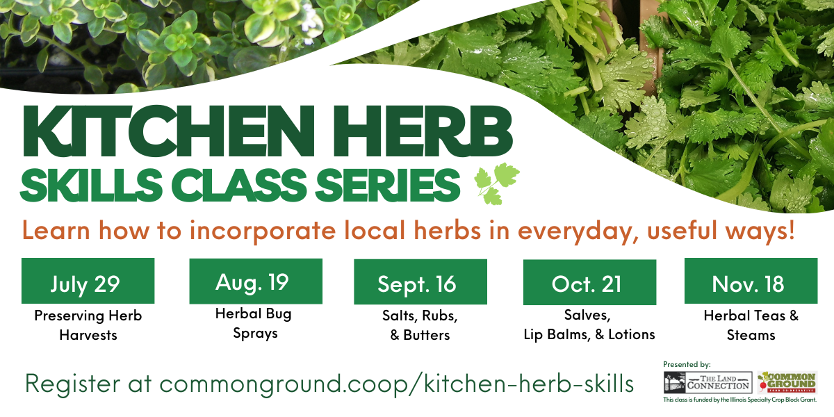 Kitchen Herb Skills Class Series 2023 The Land Connection