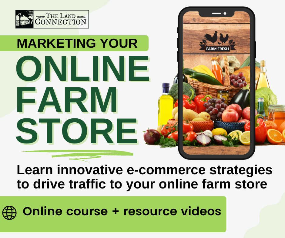 Developing a Marketing Plan for an Business (Handouts) The