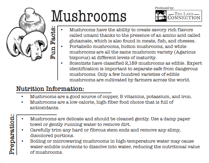 Mushrooms - The Land Connection